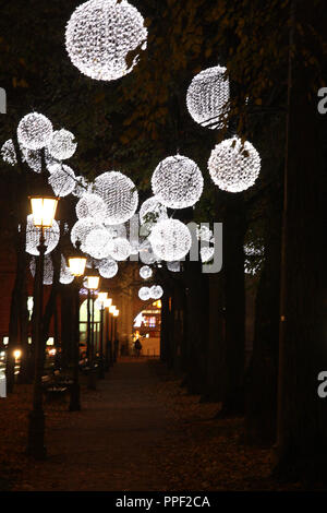 Les lumières de Noël accroché sur les arbres à la Promenadeplatz 2-6 à Munich, Allemagne Banque D'Images