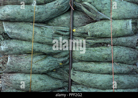 Plantation d'arbres de Noël en Turkenfeld, Allemagne. Les arbres de Noël enveloppé de tranportation Banque D'Images