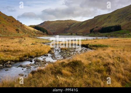 Beck et Mardale Haweswater Réservoir à Mardale tête dans le Parc National du Lake District, Cumbria, Angleterre. Banque D'Images