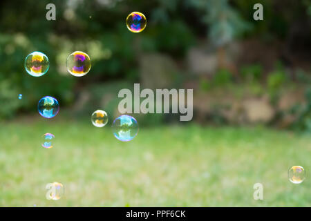 Groupe de bulles de savon coloré au fond vert dans un jardin Banque D'Images