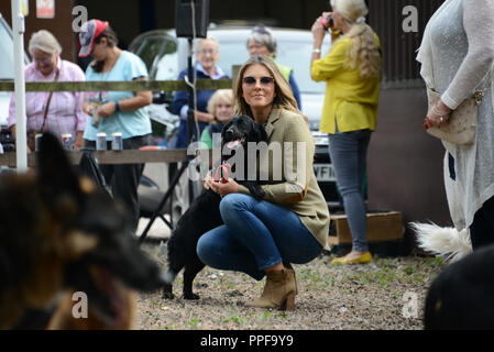 Relations sérieuses in Heath Bromsberrow Dog Show. 15 septembre 2018. Herefordshire. Elizabeth Hurley & son spaniel Mia en prenant part à une exposition canine. Banque D'Images