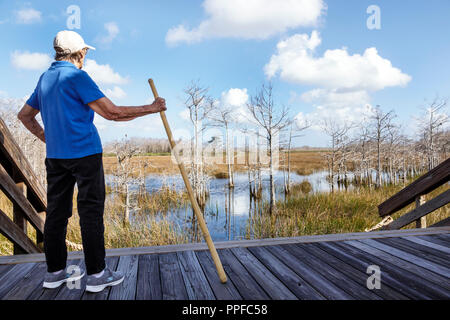 West Palm Beach Florida, Grassy Waters nature Preserve Wetlands écosystème, eau, promenade surélevée sentier de nature, seniors citoyens citoyens citoyens, femme fem Banque D'Images