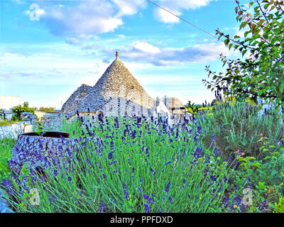 Trulli traditionnels anciens, maisons très anciennes à la lavande et autres plantes aromatiques dans les Pouilles, Italie Banque D'Images