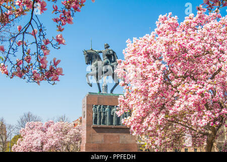 Statue roi Tomislav à Zagreb, Croatie, sur Japanese cherry blossom au printemps Banque D'Images