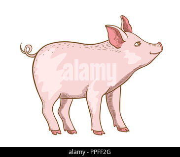 Mignon petit cochon rose sur fond blanc. Illustration à la main Banque D'Images