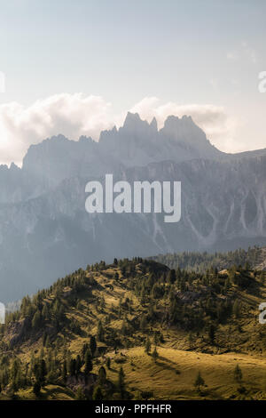 Paysage alpin, au premier plan la vallée avec la forêt de pins. Dans l'arrière-plan le massif de montagne Croda da Lago, Dolomites italiennes. Banque D'Images