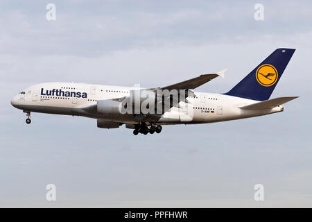 L'allemand Lufthansa Airbus A380 (vieux) livrée avec l'enregistrement D-AIMF en courte finale pour la piste 25L de l'aéroport de Francfort. Banque D'Images