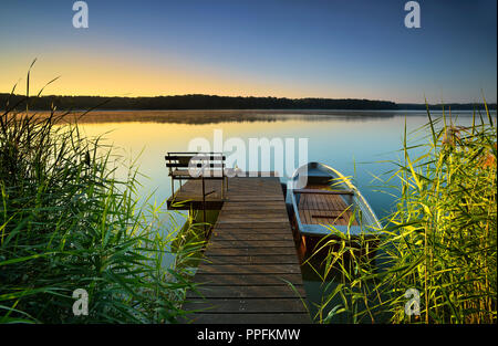 Jetée avec bateau à rames dans les roseaux, lumière du matin, le lac Großer Müllroser, voir Müllrose, Schlaubetal nature park Park Banque D'Images