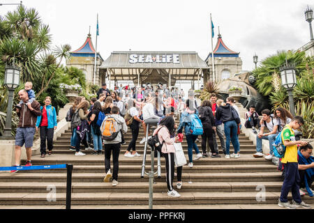 Les étudiants dans un groupe de touristes à l'extérieur de la vie marine, Brighton, Sussex, England, GB, UK Banque D'Images