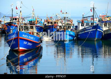 Bateaux de pêche dans la baie de Puerto del Hambre, près de Punta Arenas, Magallanes, Patagonie, Chili Banque D'Images