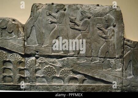 Palais de Darius I (522-486 avant J.-C.). Reliefs de la paroi extérieure de l'escalier de la salle de réception ou d'Apadana dépeignant Medas en procession dans l'escalier et l'exécution des offrandes. Persepolis. Copie de l'original conservé dans leur place d'origine (Iran), 1892. British Museum. Londres. L'Angleterre. United Kingdom. Banque D'Images