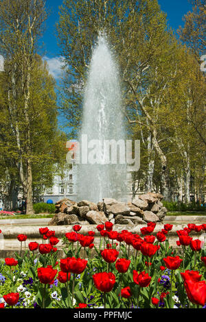 Tulipes au parc Zrinjevac Académie croate des sciences et des Arts Banque D'Images