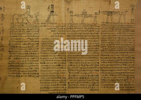 Livre des morts. Fragment d'un papyrus avec un diagramme de la répartition des amulettes funéraires sur la momie. 305-330 BC. Période ptolémaïque. D'origine inconnue. British Museum. Londres. United Kingdom. Banque D'Images