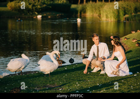 Happy young couple de cygnes et d'alimentation en souriant park Banque D'Images