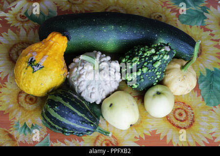 Plusieurs petites boiseries blanc, vert, jaune les potirons recouvert de boutons, les courgettes et les pommes se trouve sur la table Banque D'Images