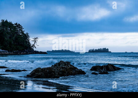 Le Tonquin Beach, Tofino, Colombie-Britannique, Canada Banque D'Images