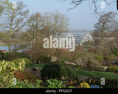 Au début du printemps dans le jardin. Vue sur le grand serre avec ses plantes tropicales et subtropicales, des RHS Wisley avec les jardins au début du printemps. Banque D'Images