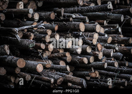 Close-up image avec une pile de troncs d'arbres récoltées, considéré comme un arrière-plan Banque D'Images