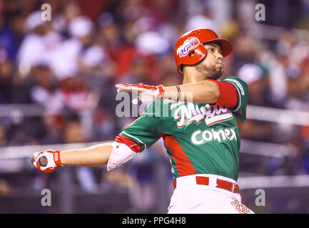 Les actions de la série des Caraïbes d'un match de baseball avec le match de Tomateros de Culiacán de Mexico contre les Criollos de Caguas de Porto Rico en baseb Banque D'Images