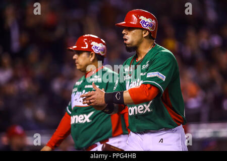 Sebastian Elizalde. Les actions de la série des Caraïbes d'un match de baseball avec le match de Tomateros de Culiacán de Mexico contre les Criollos de Caguas de Banque D'Images