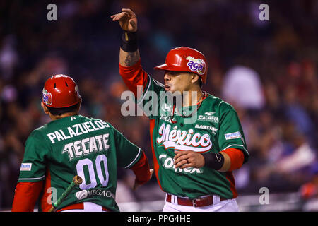 Sebastian Elizalde. Les actions de la série des Caraïbes d'un match de baseball avec le match de Tomateros de Culiacán de Mexico contre les Criollos de Caguas de Banque D'Images