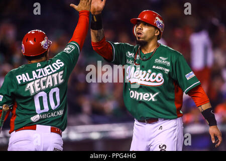 Sebastian Elizalde. Les actions de la série des Caraïbes d'un match de baseball avec le match de Tomateros de Culiacán de Mexico contre les Criollos de Caguas de Banque D'Images