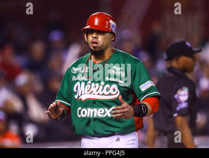 Sebastian Elizalde. Les actions de la série des Caraïbes d'un match de baseball avec le match de Tomateros de Culiacán de Mexico contre les Criollos de Caguas de Banque D'Images