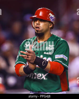 Sebastian Elizalde. Les actions de la série des Caraïbes d'un match de baseball avec le match de Tomateros de Culiacán de Mexico contre les Criollos de Caguas de Banque D'Images