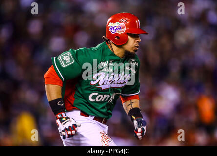Sebastian Elizalde. Les actions de la série des Caraïbes d'un match de baseball avec le match de Tomateros de Culiacán de Mexico contre les Criollos de Caguas de Banque D'Images