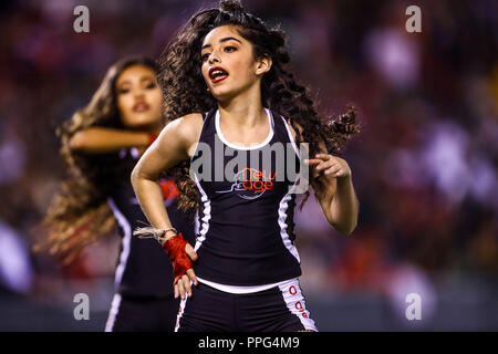 Les actions de la série des Caraïbes d'un match de baseball avec le match de Tomateros de Culiacán de Mexico contre les Criollos de Caguas de Porto Rico en baseb Banque D'Images