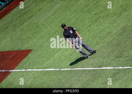 Ampayer. Yahir Fernandez . Acciones, durante el partido de beisbol entre Criollos de Caguas de Puerto Rico contra las Águilas Cibaeñas de Republica Banque D'Images