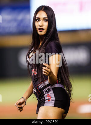 Edecanes o Chica Tecate. Acciones, durante el partido de beisbol de la Serie del Caribe con el Encuentro entre Tomateros de Culiacán de Mexico contra Banque D'Images