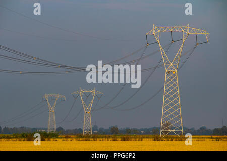 Les lignes électriques dans les zones rurales en Italie sur le terrain Banque D'Images