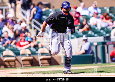 Wilin Rosario de Rocheuses ,durante el juego entre Arizona vs Colorado en el l'entraînement de printemps, de las Ligas Mayores del Beisbol, estadio Champ Salt River Banque D'Images