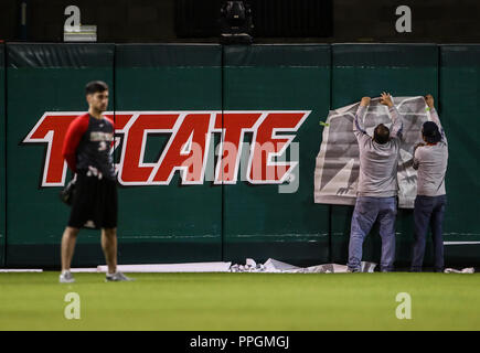 Logo de la cerveza Tecate. Aspectos del nuevo estadio de Tomateros de  Culiacán y el entrenamiento de las Aguilas de Mexicali ,que en día de  mañana Photo Stock - Alamy