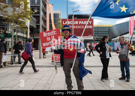 Liverpool, Angleterre 25 septembre 2018, conférence, Arenna Centre de Conférence Albert Docks. Diverses autres manifestations et campagnes à l'extérieur du centre de conférence principale. Credit : Rena Pearl/Alamy Live News Banque D'Images