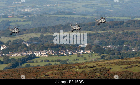 Yelverton, Royaume-Uni. 26th septembre 2018. Dernier vol de la Royal Navy Sea King. Les hélicoptères Sea King Mk7 ont quitté RNAS Culdrose pour la dernière fois le mercredi 26th septembre 2018 les avions dans les photos sont en vol au-dessus de Burrator Reservoir, Sheepstor, nr Yelverton, Devon sur la route de RNAS Culdrose à HMS Sultan après près de 50 ans d'opérations actives, Les derniers hélicoptères militaires Sea King de voler au Royaume-Uni, ont quitté la Royal Naval Air Station Culdrose à Helston, Cornwall pour prendre sa retraite le mercredi 26th septembre 2018. Crédit : Bob Sharples/Alay Live News Banque D'Images