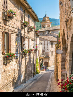 Vue panoramique à Spello, fleurie et pittoresque village de l'ombrie, Province de Pérouse, en Italie. Banque D'Images