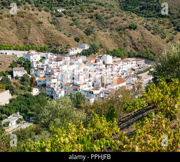 Maisons Blanches et Minaret Arabe converti au clocher de l'église, Archez, route mudéjar dans les Sierras de Tejeda, parc naturel, l'Axarquia Andalousie, Espagne Banque D'Images