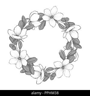 Wreathj avec des fleurs blanches. Cadre blanc et noir Banque D'Images