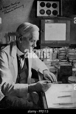 ALEXANDER Fleming (1881-1955) - médecin écossais, microbiologiste, et pharmacologue. Banque D'Images