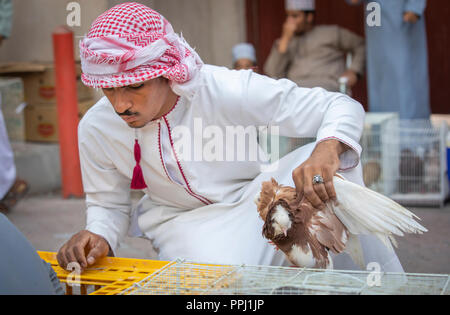 Nizwa, Oman, 21 Septembre 2018 : l'achat de pigeons homme omanais un marché Banque D'Images