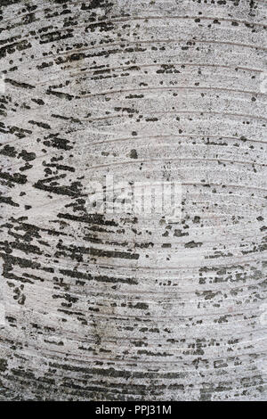 Sable ancienne pierre brute. Arrière-plan de texture. Close-up. Banque D'Images