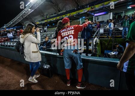 Alfredo Amezaga se despide del beisbol con su ultimo turno al bat durance la Serie del Caribe . Jeu de base-ball de la série des Caraïbes, avec le match Banque D'Images