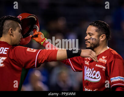 Alfredo Amezaga se despide del beisbol con su ultimo turno al bat durance la Serie del Caribe . Jeu de base-ball de la série des Caraïbes, avec le match Banque D'Images