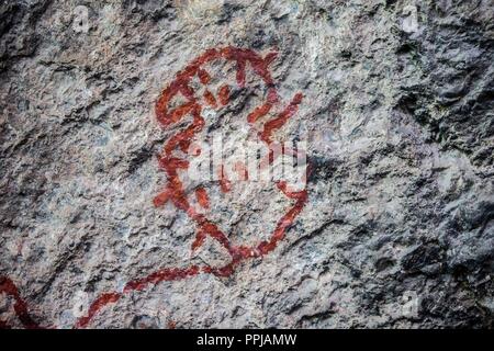 Pinturas. Pared. . Rancho de Santa Barbara **** Reserva Monte Mojino (ReMM) de la Culture naturelle International (CCI) Credito:LuisGutierrez Banque D'Images