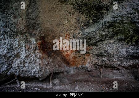 Pinturas. Pared. . Rancho de Santa Barbara **** Reserva Monte Mojino (ReMM) de la Culture naturelle International (CCI) Credito:LuisGutierrez Banque D'Images