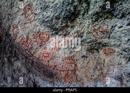 Pinturas. Pared. . Rancho de Santa Barbara **** Reserva Monte Mojino (ReMM) de la Culture naturelle International (CCI) Credito:LuisGutierrez Banque D'Images