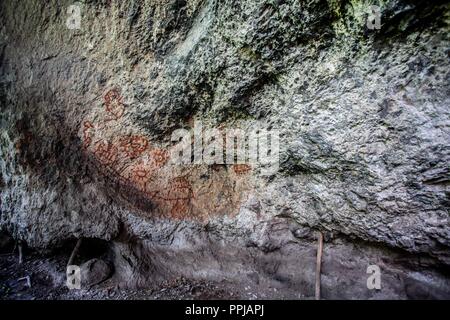 Pinturas. Pared. . Rancho de Santa Barbara **** Reserva Monte Mojino (ReMM) de la Culture naturelle International (CCI) Credito:LuisGutierrez Banque D'Images