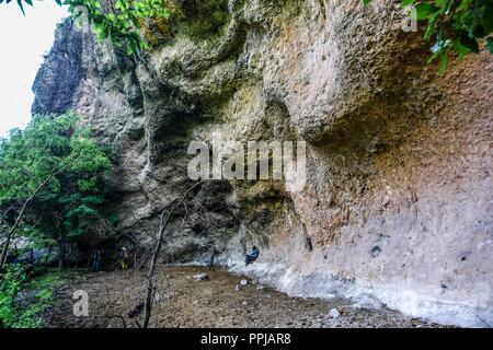 Pinturas. Pared. . Rancho de Santa Barbara **** Reserva Monte Mojino (ReMM) de la Culture naturelle International (CCI) Credito:LuisGutierrez Banque D'Images